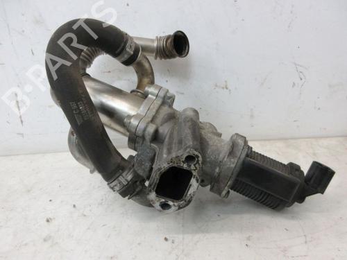 Used Egr FIAT DOBLO Cargo (263_) 1.3 D Multijet (90 hp) 28371086