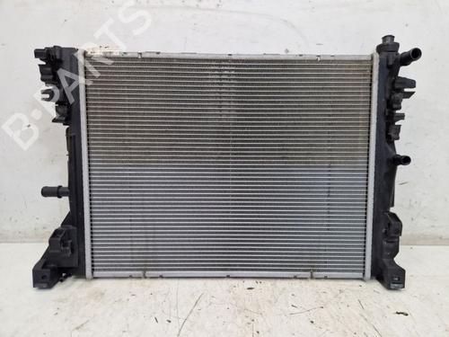 Used Water radiator RENAULT ZOE (BFM_) ZOE (BFMD) (109 hp) 29105963