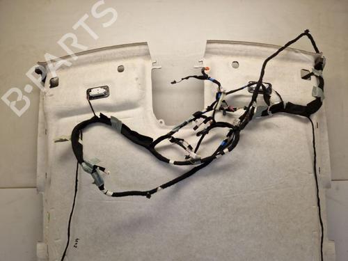Techo interior RENAULT AUSTRAL E-TECH 200 Hybrid (HGM2) | BP37138918I12 - Image 8