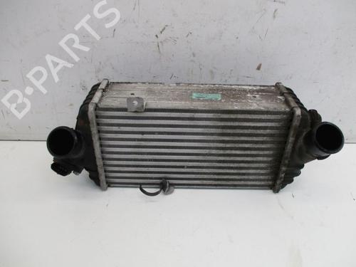 Used Intercooler HYUNDAI i20 I (PB, PBT) 1.1 CRDi (75 hp) 30667971