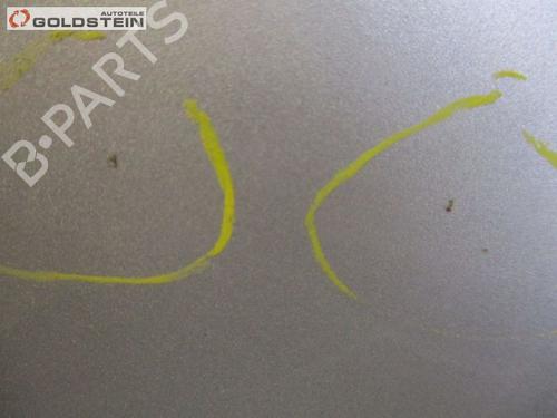 Left front fenders LAND ROVER DISCOVERY III (L319) 2.7 TD 4x4 | BP13762009C41