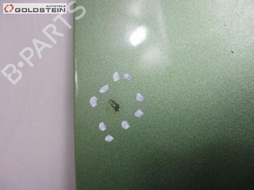 Hood PEUGEOT 1007 (KM_) 1.4 | BP18789307C1