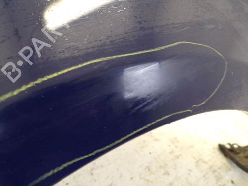 Left front fenders RENAULT CLIO III (BR0/1, CR0/1) 1.2 16V (BR02, BR0J, BR11, CR02, CR0J, CR11) | BP18798903C41 