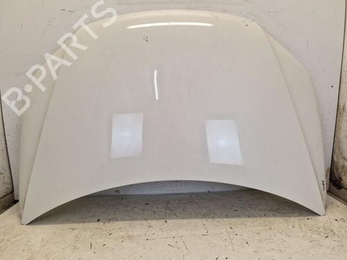 Used Hood VW TIGUAN (5N_) 2.0 TDI 4motion (140 hp) 29105054