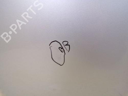 Right front door TOYOTA AYGO (_B1_) 1.0 (KGB10_, KGB10R) | BP26676743C3 