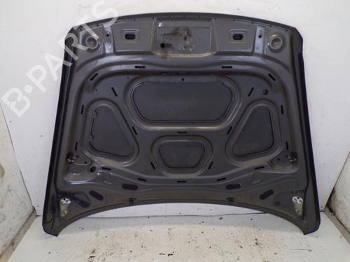 Hood VW TOUAREG (7LA, 7L6, 7L7) 3.6 V6 FSI | BP19294077C1 