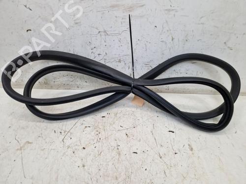 Used Rubber door seal RENAULT ZOE (BFM_) ZOE (BFMD) (109 hp) 29105866