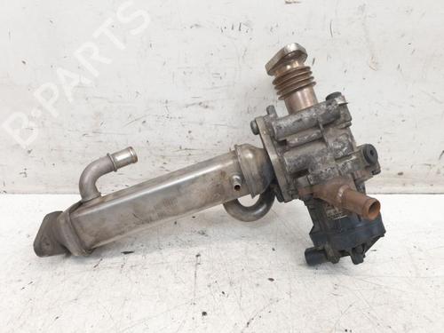 Egr FIAT DUCATO Van (250_) 130 Multijet 2,3 D | BP39008148M69 - Image 2