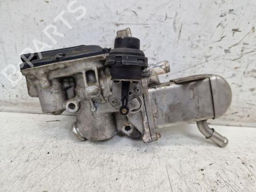 Egr RENAULT GRAND SCÉNIC III (JZ0/1_) 1.9 dCi (JZ0J, JZ0N, JZ1K, JZ1S) | BP29107700M69 