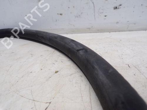Rubber door seal CHRYSLER GRAND VOYAGER V (RT) 3.6 | BP29097567C142 