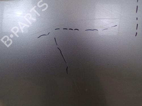 Right front door NISSAN X-TRAIL I (T30) 2.2 dCi 4x4 | BP26647743C3 