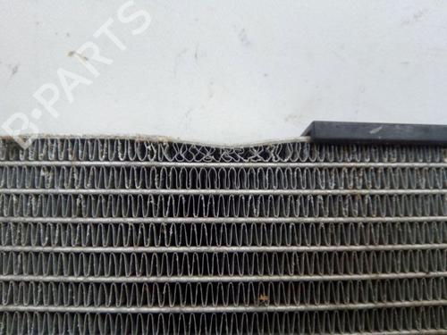 Water radiator FORD KUGA III (DFK) 2.5 Duratec PHEV | BP31702900M31 