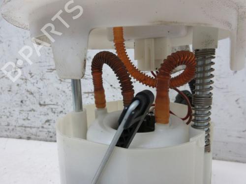 Fuel pump PEUGEOT PARTNER Tepee 1.6 VTi | BP19297621M76 