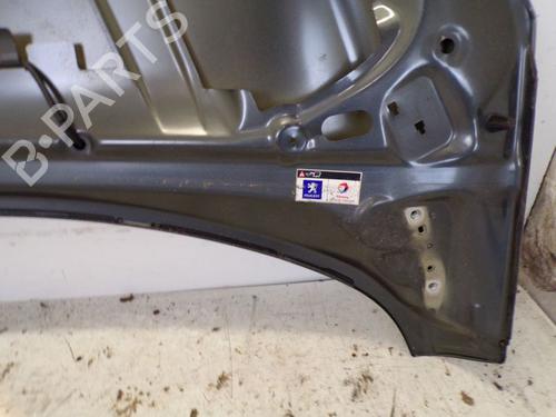 Hood PEUGEOT 308 SW I (4E_, 4H_) 1.6 HDi | BP29095721C1 