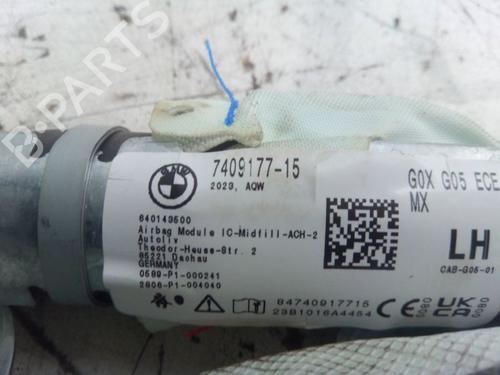 Interior roof BMW X5 (G05, F95) xDrive 40 i Mild-Hybrid | BP29109189I12 