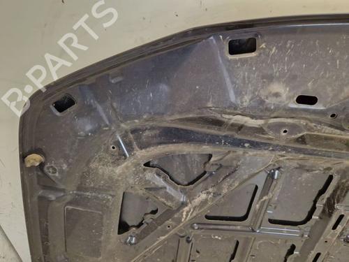 Hood SUZUKI GRAND VITARA II (JT, TE, TD) 1.9 DDiS All-wheel Drive (JT419, TD44, JB419WD, JB419XD,... | BP29107214C1 