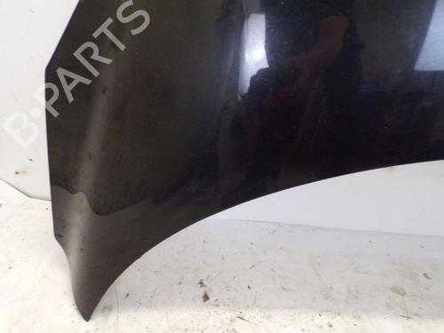 Hood FIAT DOBLO Cargo (263_) 1.3 D Multijet | BP29094667C1 