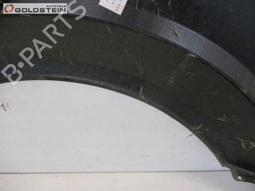 Left front fenders MERCEDES-BENZ SPRINTER 3,5-t Van (B906) 313 CDI (906.631, 906.633, 906.635, 906.637) | BP18757166C41 