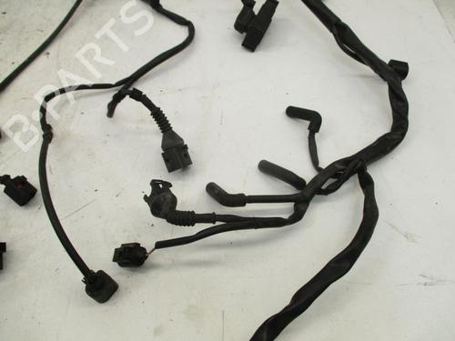 Wiring harness AUDI A4 B7 Avant (8ED) 2.5 TDI | BP29086169E16 