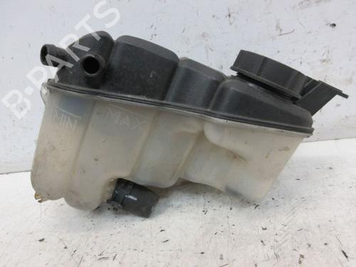Used Expansion tank FORD GALAXY II (WA6) 2.0 TDCi (130 hp) 29088960