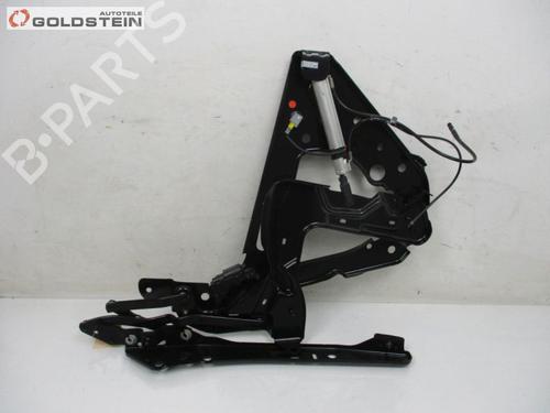 Used Hinge/Door check strap RENAULT MEGANE II Coupé-Cabriolet (EM0/1_) 1.9 dCi (115 hp) 25224058