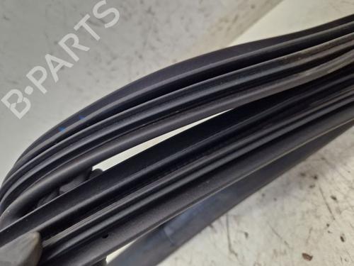 Gummiliste RENAULT ZOE (BFM_) ZOE (BFMD) | BP29105865C142 