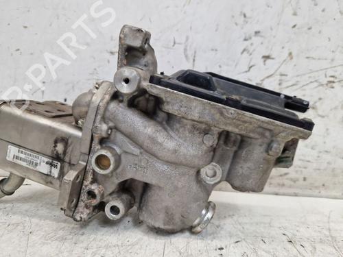 Egr RENAULT GRAND SCÉNIC III (JZ0/1_) 1.9 dCi (JZ0J, JZ0N, JZ1K, JZ1S) | BP29107700M69 