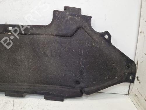 Hood FIAT 500 (312_) 1.4 (312AXC1B, 312CXC1B) | BP31703704C1