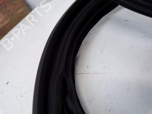 Rubber door seal SKODA ROOMSTER (5J7) 1.4 | BP29096472C142 