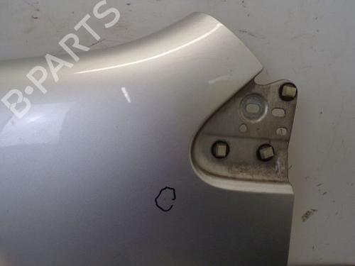 Left front fenders FORD TRANSIT CONNECT (P65_, P70_, P80_) 1.8 TDCi | BP18803110C41 