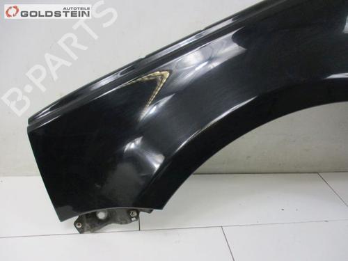 Left front fenders LAND ROVER RANGE ROVER SPORT I (L320) 2.7 D 4x4 | BP18760847C41 