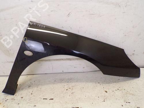 Used Right front fenders PEUGEOT 407 (6D_) 2.0 HDi 135 (6DRHRH, 6DRHRE, 6DRHRG, 6DRHRJ) (136 hp) 19294846