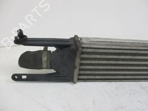 Intercooler FIAT GRANDE PUNTO (199_) 1.3 D Multijet | BP37116606M30 - Image 7