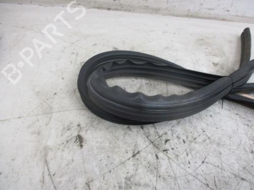 Gummiliste DACIA SANDERO 1.2 16V | BP37114655C142 - Image 3
