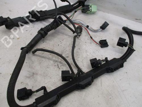 Wiring harness BMW X5 (E70) xDrive 48 i | BP18802120E16 