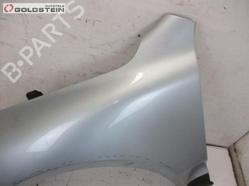 Left front fenders VW TOUAREG (7LA, 7L6, 7L7) 2.5 R5 TDI | BP18762525C41 
