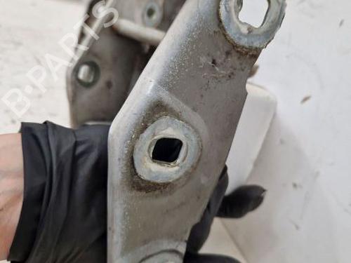 Hinge/Door check strap RENAULT TRAFIC II Van (FL) 1.9 dCi 100 (FL0C, FL0K, FL0B) | BP29108916C146 