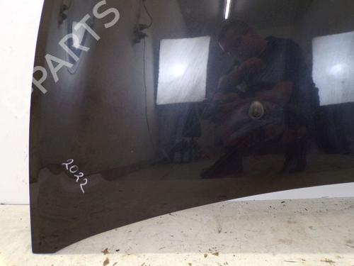 Hood RENAULT CLIO III (BR0/1, CR0/1) 1.2 16V (BR02, BR0J, BR11, CR02, CR0J, CR11) | BP29095382C1 