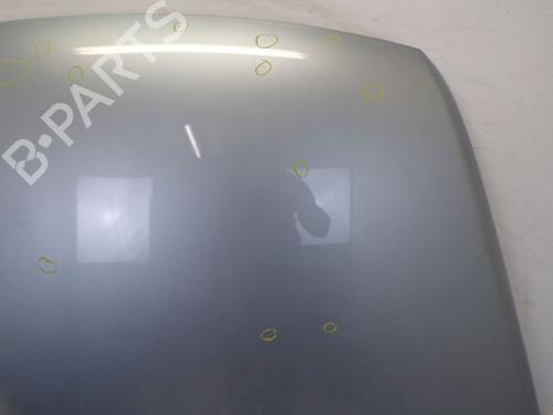 Hood VW TOUAREG (7LA, 7L6, 7L7) 5.0 V10 TDI | BP19296979C1 