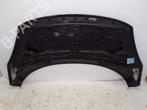 Hood FIAT DOBLO Cargo (263_) 1.3 D Multijet | BP29094667C1 