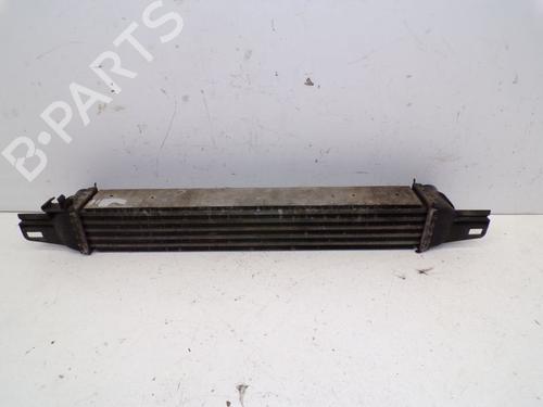 Intercooler PEUGEOT BIPPER (AA_) 1.3 HDi 75 | BP37120490M30 - Image 5