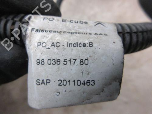 Ledningsnet CITROËN C4 CACTUS 1.2 VTi 82 | BP38028099E16 - Image 8