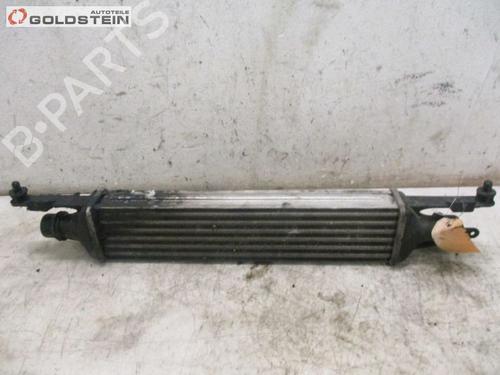Used Intercooler OPEL CORSA D (S07) 1.3 CDTI (L08, L68) (90 hp) 13761036