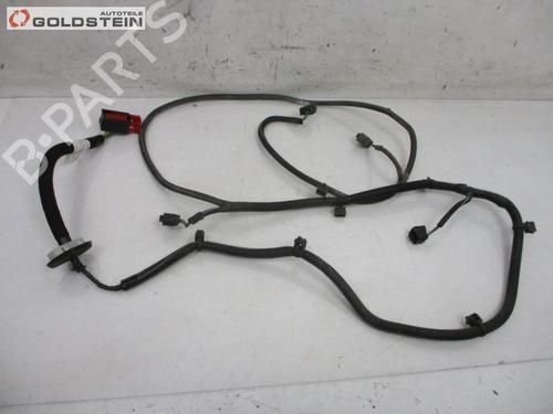 Used Wiring harness CITROËN C4 II (NC_) 1.6 HDi 110 (112 hp) 18757556