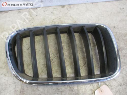 Grill BMW X3 (F25) xDrive 20 d (184 hp) 13761128