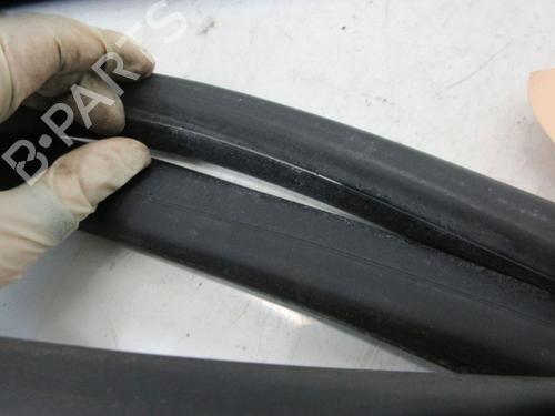 Rubber door seal RENAULT GRAND SCÉNIC III (JZ0/1_) 1.4 16V (JZ0F) | BP19299869C142 