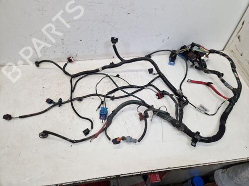Used Wiring harness DACIA SANDERO II 1.2 (75 hp) 30573688