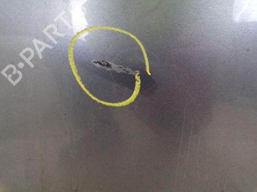 Left front door PEUGEOT 207 (WA_, WC_) 1.4 | BP28174167C2 