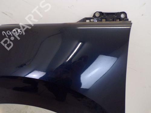 Left front fenders PEUGEOT 5008 (0U_, 0E_) 2.0 HDi | BP29094553C41 