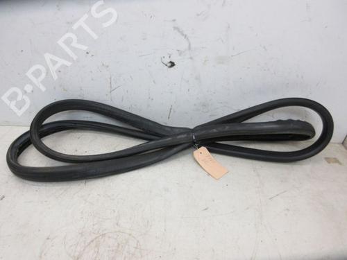 Used Rubber door seal RENAULT GRAND SCÉNIC III (JZ0/1_) 1.4 16V (JZ0F) (131 hp) 29094727